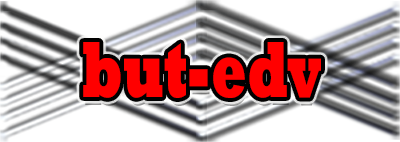 Logo but-edv.de